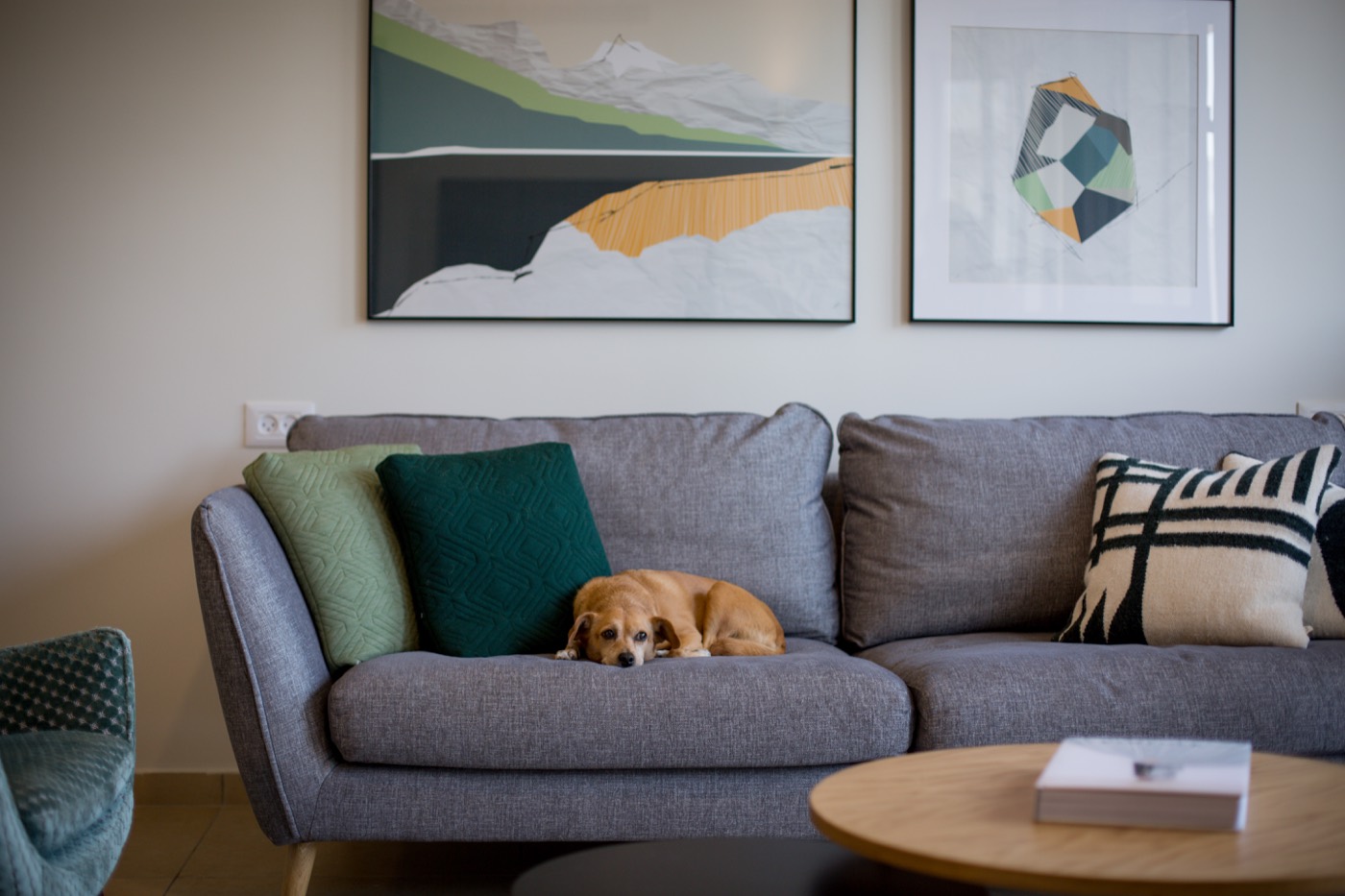 Green Lines Apartment, interior view 8